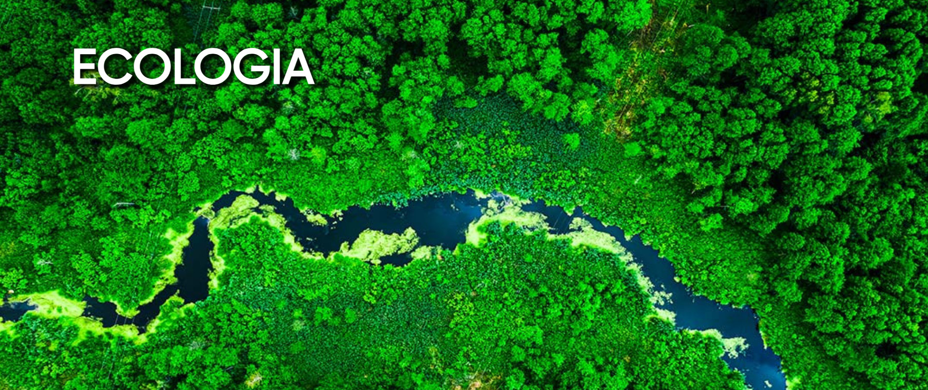 l’alba dell’ecologia