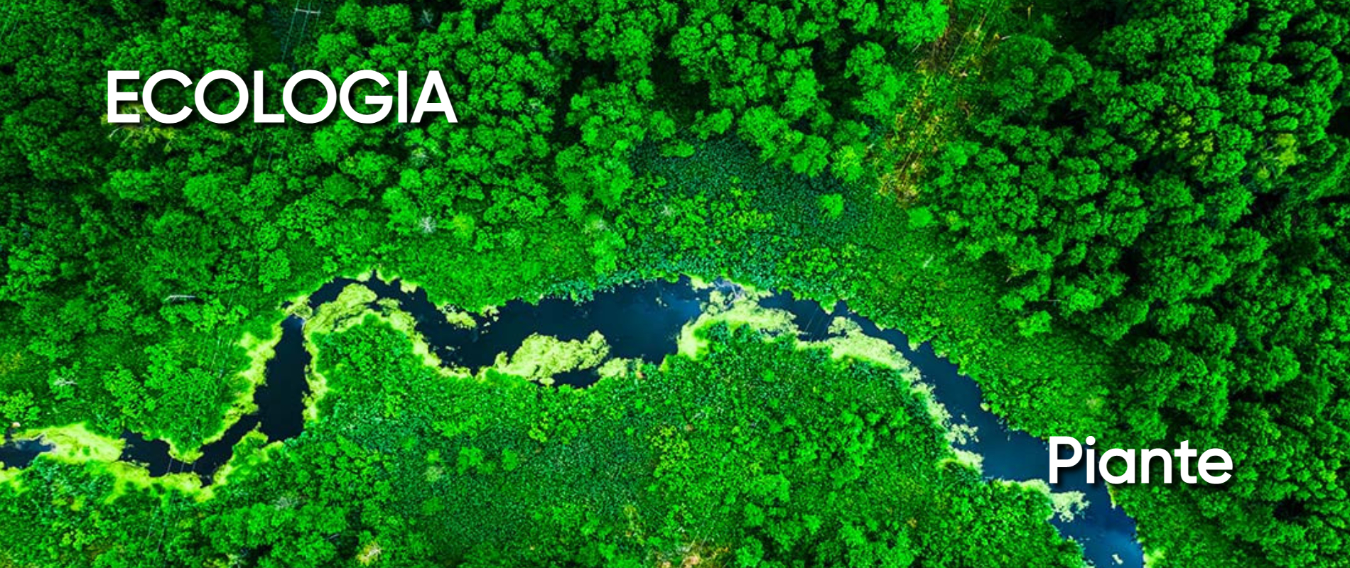 Trieste, la cabinovia che sfregia il bosco